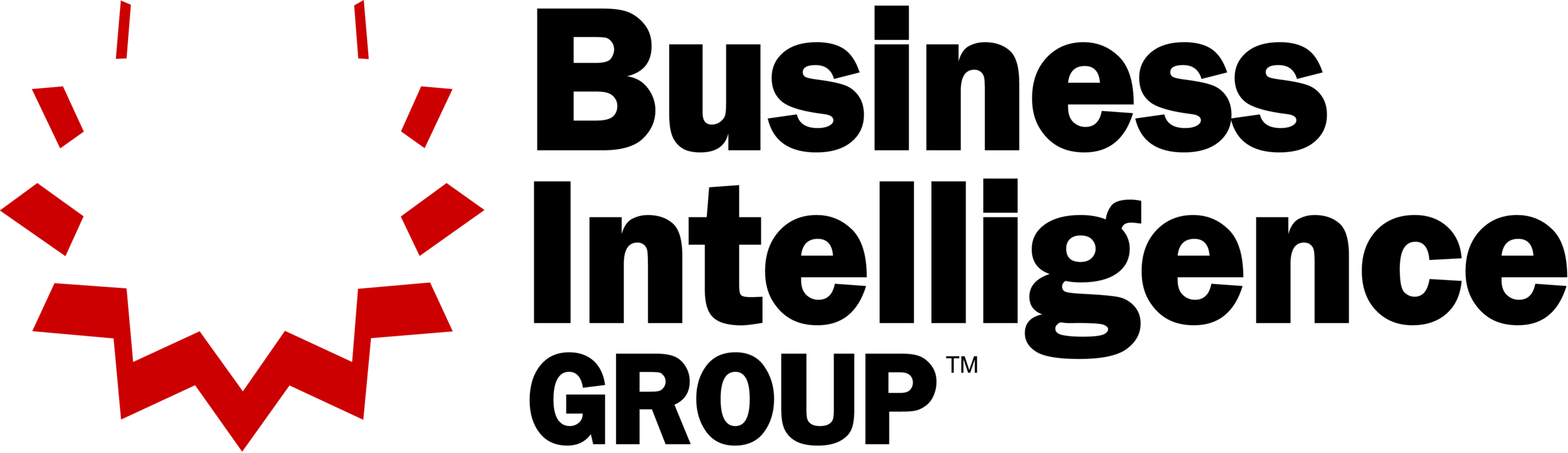 Business Intelligence Group 