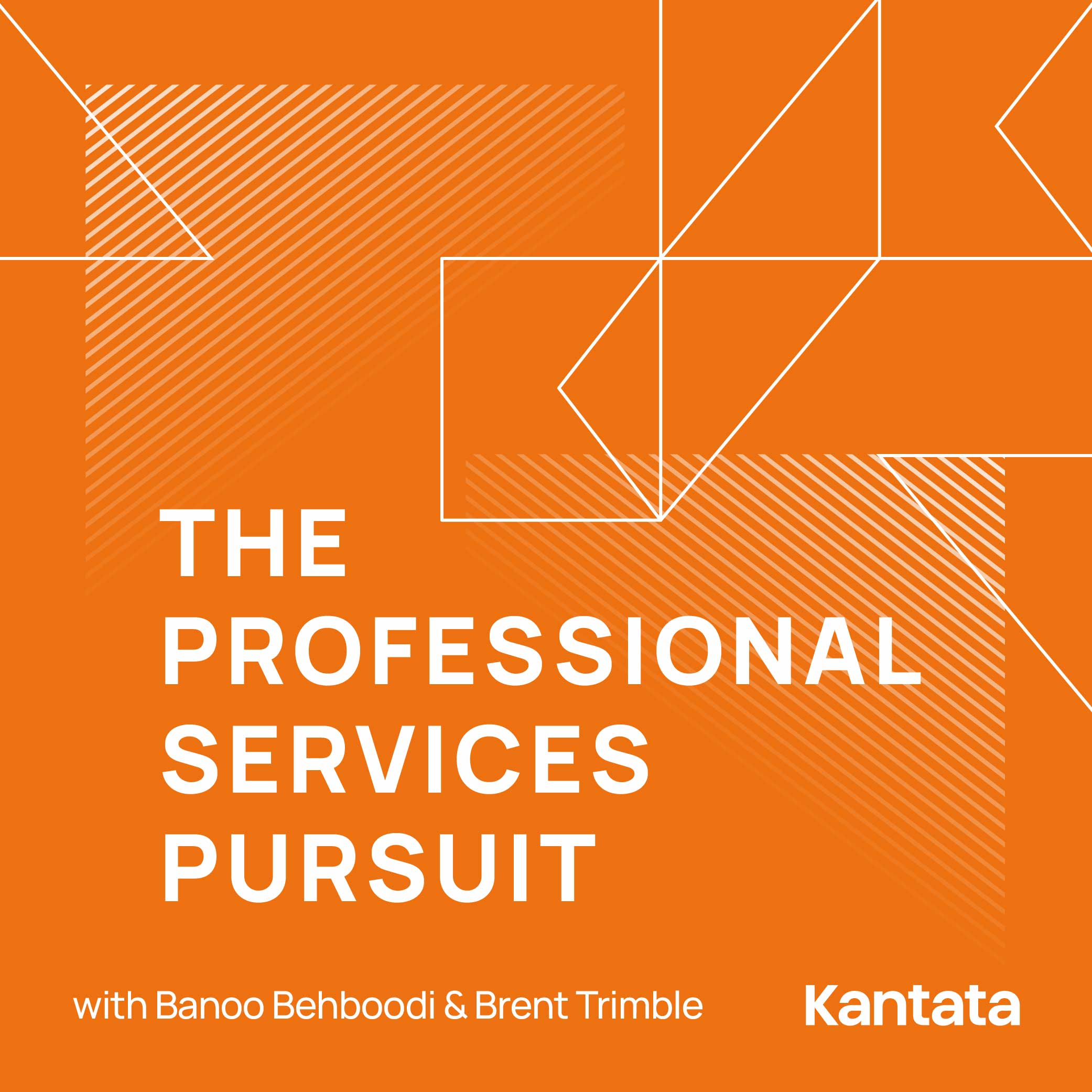 The Professional Services Pursuit